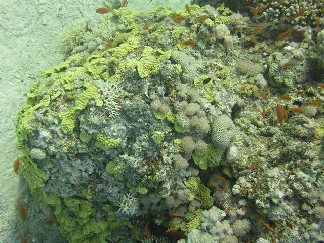 P4030029