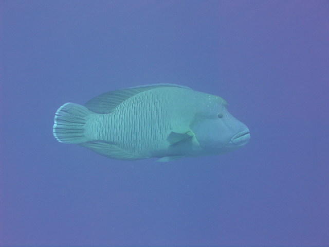 P4030062