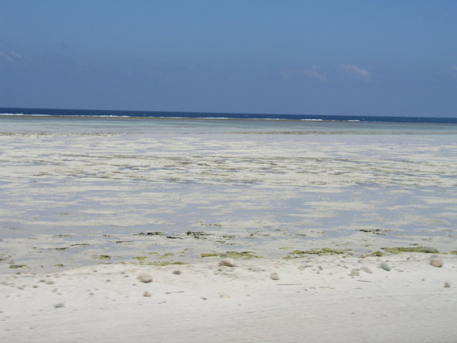 P3300091