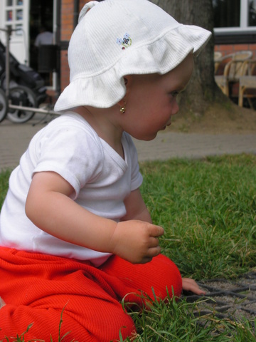 pict0029
