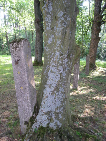 pict0070
