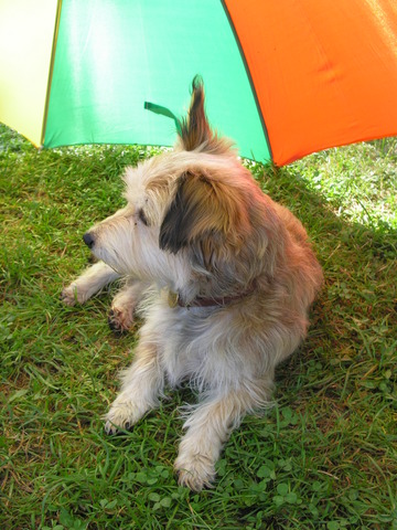 pict0074