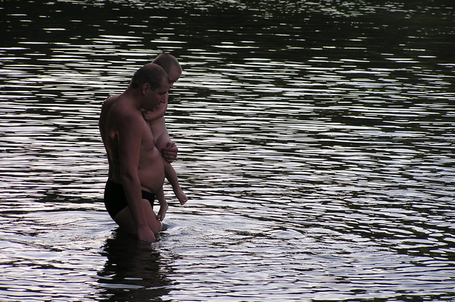 p8075337