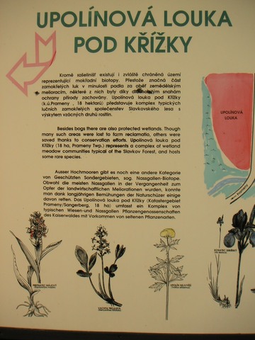 Upolnov louka I