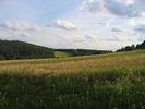 IMG_6014