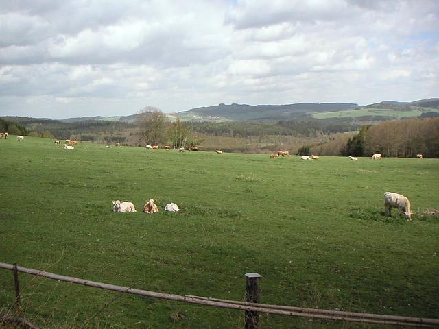pict0040