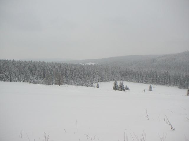 pict0004